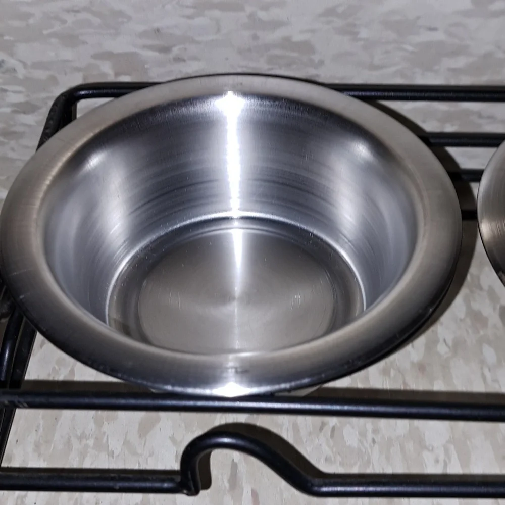 Stainless Steel Pet Bowls with Black Stand